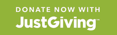 JustGiving Just Giving button
